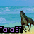A four- shows horses in various settings with overlaid text: a horse running on a beach, two horses in a forest, a close-up of a horse's head, and a blank