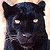 A pixelated black panther head with glowing eyes on a light background, next to green text reading 'Original Icons .com' on dark green.