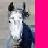 Pixelated image of a horse's head with white and dark gray coloring, positioned against a light gray background with a bright pink vertical stripe on the right.