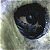 A pixelated circular icon with a dark central shape against a light, blurred background of green and white tones.