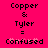 Pixelated text on bright pink background reads "Copper & Tyler = Confused" with pink pixelated accents on the word "Confused".