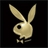 Pixelated golden bunny head logo with long ears and a small tail on black background, rendered in low-resolution 256x256 pixels.