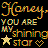 Pixelated text reads 'Honey you are my shining star' with a star and heart symbol on black background.