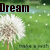 Pixelated image of a dandelion with white seeds against a green background, featuring the word 'Dream' in dark brown block letters at the top left.