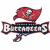 Pixelated icon shows red bird perched on banner with 'Buccaneers' text, green 'Original Icons .com' text on dark background.