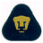 Pixelated static icon featuring a yellow lion head silhouette within a dark blue hooded shape on white background.