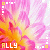 A flower with pink and orange petals, white background, yellow text 'ALLY' at bottom left, small square patterns in corners.