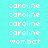 pixelated text icons on cyan background, with blue highlighted showing 'caroline' and 'wombat' in white pixel font