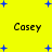 Yellow background with blue plus signs and four instances of the name Casey in black text.