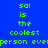 Blue background with green pixelated text reading 'sal is the coolest person ever' repeated across multiple white rectangular sections.
