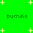 Green background with scattered white plus signs and repeated dark green text 'burnsie' in four positions.