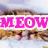A pixelated image shows a cat with brown and black fur lying on a light surface, with the word "MEOW" in bright pink block letters overlaid on the left side.