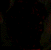 Animated sequence of a skull with a hand covering its mouth, rotating through multiple angles against a dark background.