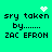 Pixelated green background with black text reading 'sry taken by....... ZAC EFRON' and animated white pixel symbols above the text.