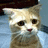 Pixelated cat with light brown fur and dark eyes on left; blue background with cyan text reading "I made you a cookie, but I eated it!" on right
