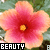 A flower icon with pink petals and yellow center, featuring the word 'BEAUTY' in black text with red accents on a green leafy background.