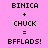 Pixelated text on pink background shows 'BINICA + CHUCK = BFFLADS!' with cyan highlight variations across three