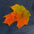 A static image shows a pixelated autumn leaf on the left and green text reading 'Original Icons .com' on the right against dark backgrounds.