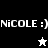 Pixelated text 'NICOLE :)' appears on black and gray backgrounds with a small star icon below, showing animation changes between frames.