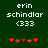 Green background displays white text 'erin schindlar (333)' above red and brown pixelated symbols, with animation changing symbol colors.