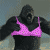 Animated contact sheet showing a gorilla in a pink bikini top across six frames with varying poses and chest exposure.