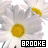 A pixelated flower with white petals and yellow centers, displaying two variations of the name 'BROOKE' in text boxes below.