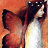 A pixelated figure with dark hair and a white dress against an orange background, showing partial facial features and clothing details.
