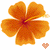 Two pixelated orange flowers with four rounded petals each, one flower slightly larger than the other, both featuring a central red core and yellow stamen-like detail.