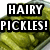 Pixelated green background with bold black text boxes containing white text reading "HAIRY PICKLES!" and "HA HA! (inside joke)".