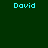 Four cyan 'David' text labels on dark green background with pink rectangular bars in different positions across frames.