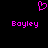 A static pixel art image with a black background, featuring a pink heart symbol above two instances of the text 'Boyley' in pink pixelated font.