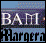 Animated icon with blue gradient background displaying 'BAM' text above partial 'Harger' text, transitioning to a black-and-white geometric symbol.