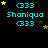 identical pixel art icons with cyan text and yellow stars on black background, each showing 'Shaniqua' flanked by '(333)' above and below