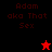 Pixelated text 'Adam aka That Sex' appears in four quadrants with varying background colors and star symbols, one black and one red star visible.
