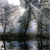 Pixelated static image showing a dark silhouette of a tree against a bright, overexposed sky with scattered light patches.