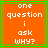 Orange background with green border, white pixelated text reading 'one question i ask why?', two identical side-by-side