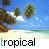 A 3x3 contact sheet of animated tropical beach scenes with palm trees, sandy shore, and blue sky, each frame labeled "tropical" at the bottom.