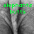 Grayscale image of elephant legs with green pixelated text reading "elephants butts can't tuch this!!!" across four