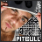 A 4x3 contact sheet of a Pitbull animated buddy icon showing 12 sequential frames with slight facial expression changes and consistent text overlay.