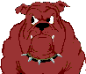 Red bulldog with spiked collar in four pixelated expressions: neutral, angry eyes, snarling mouth, and bared teeth.