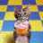 A cat holds a cupcake with pink frosting and green sprinkles against a blue-yellow checkered background.