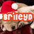 A pixelated image of a dog wearing a red Santa hat with white trim, positioned next to a green and white text graphic.