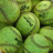 A pixelated green icon with a central circular shape and dark lines forming an abstract pattern against a leafy background.