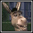iconhell_nicoleo1711_donkey