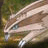 Pokemon Buddy Icons - AIM Icons - Anime Icons - AOL Icons