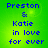 Blue pixelated text on a green gradient background reads "Preston & Katie in love for ever" in four identical