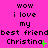 A bright pink background displays repeated text in black pixelated font, with green plus signs and periods changing at the end of 'Christina' across three