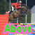 Four pixelated show equestrian scenes with green text overlays reading Above, And, Beyond, Stables on pink outlines