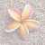 A static pixelated flower with five petals in pastel pink and yellow hues, centered on a grayish checkered background.