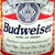 A 50x50 pixel animated contact sheet showing two frames of a Budweiser beer can icon with green text reading "Original Icons .com" on the right frame.